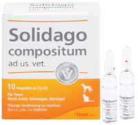 SOLIDAGO COMPOSITUM ad us.vet.Ampullen