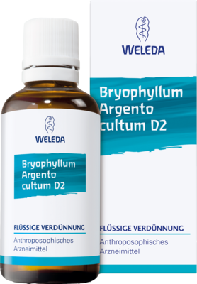 BRYOPHYLLUM ARGENTO cultum D 3 Dilution