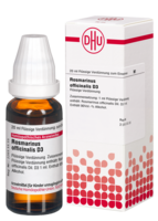 ROSMARINUS OFFICINALIS D 3 Dilution