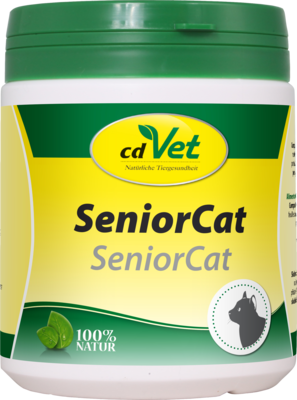 SENIOR Cat