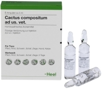 CACTUS COMPOSITUM ad us.vet.Ampullen