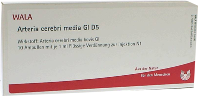 ARTERIA CEREBRI media GL D 5 Ampullen