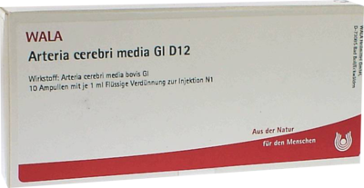 ARTERIA CEREBRI media GL D 12 Ampullen