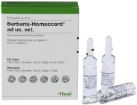 BERBERIS HOMACCORD ad us.vet.Ampullen