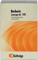 SYNERGON KOMPLEX 101 Berberis Tabletten