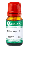 ALLIUM CEPA LM 27 Dilution