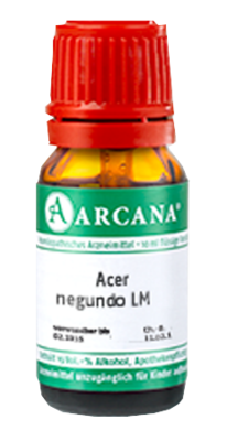 ACER negundo LM 29 Dilution