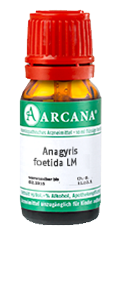 ANAGYRIS foetida LM 20 Dilution